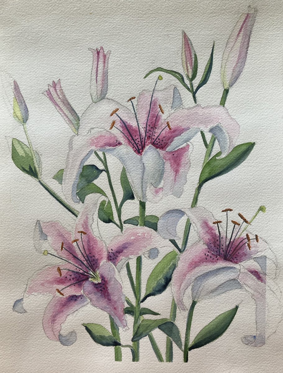 JanetVaneerden's tweet image. Thankfulness. Encouragement. Forward Thinking. 
No one can say there is too much of these. May your day and your heart be full of these. 12 by 16in original watercolor. #createjoy #watercolor