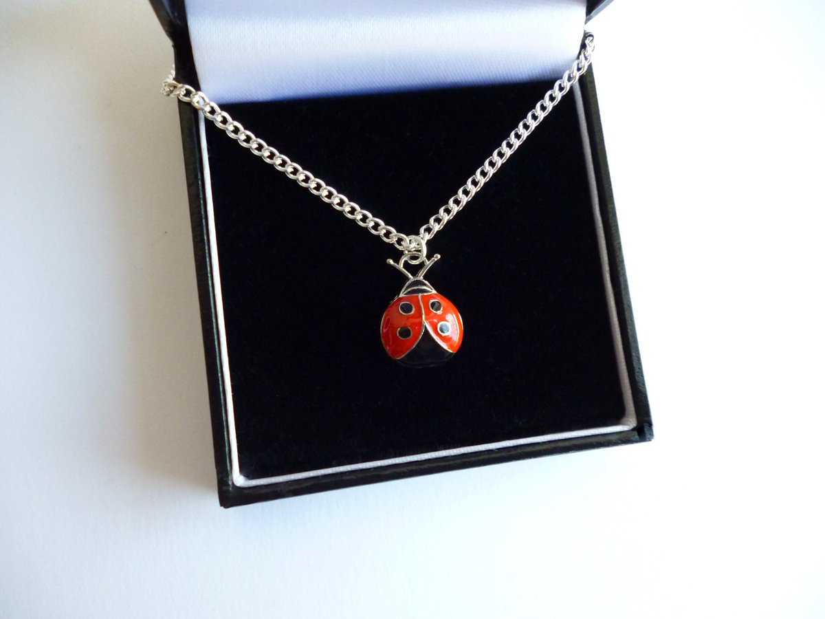 Excited to share the latest addition to my #etsy shop: Lovely Ladybug Ladybird Necklace #EtsySeller #EtsySocial #etsyfinds #EtsyGift #etsygifts #etsyshop #etsylovers #etsystore #etsybot #UKetsyRT #ListMyEtsy