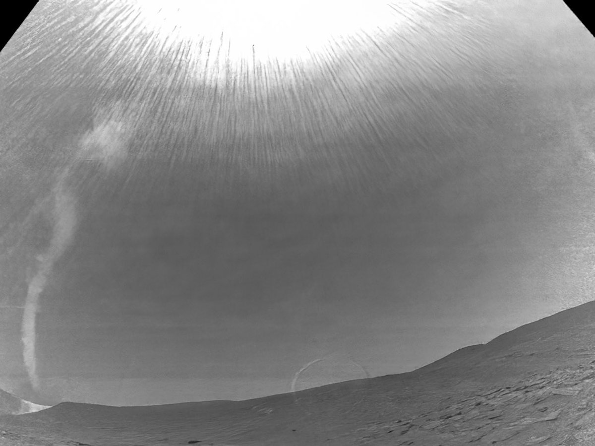 A monster of a dust devil vortex caught yestersol by @NASAPersevere (Sol 806)

NASA/JPL-Caltech/Kevin M. Gill