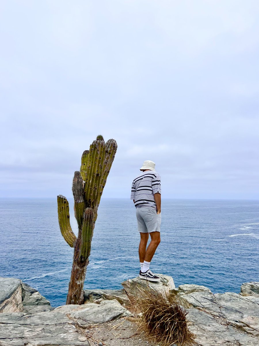 echavezreal's tweet photo. Me tomé una foto asteric en #LosCabos https://t.co/q072hDy6Se
