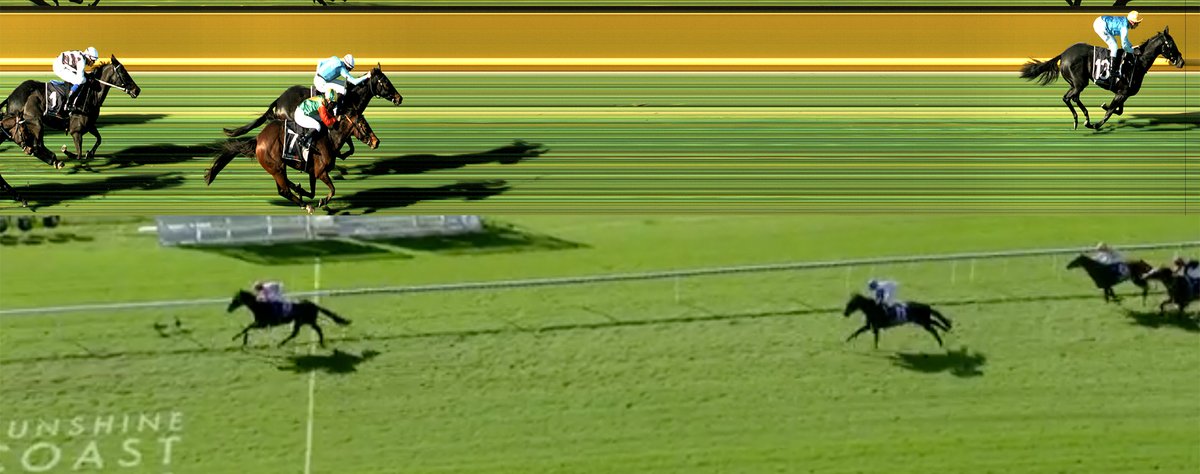 HighviewStud's tweet image. NZ's leading first season sire #Santos added two impressive winners in Aus yesterday both winning by 6+ lengths (Sandual &amp;amp; Victory Win). He's the only son of #IAmInvincible standing in NZ &amp;amp; he offers outstanding value at just $7,500 +GST! highview.co.nz/santos/