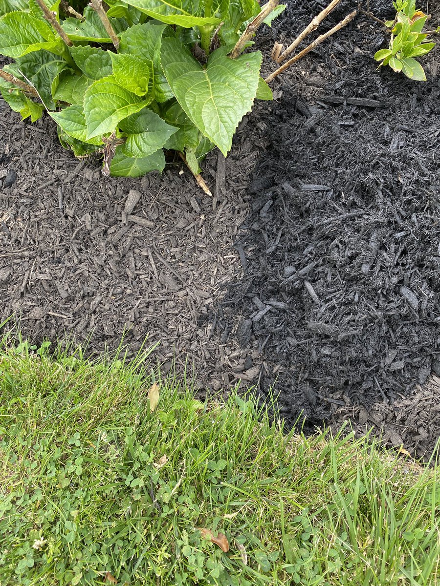 Chad Kaplan tweet media