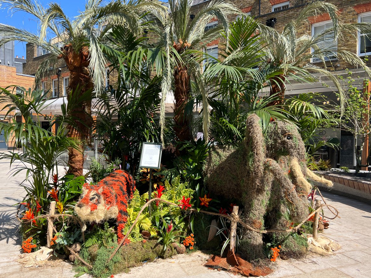 London via Surrey tweet media