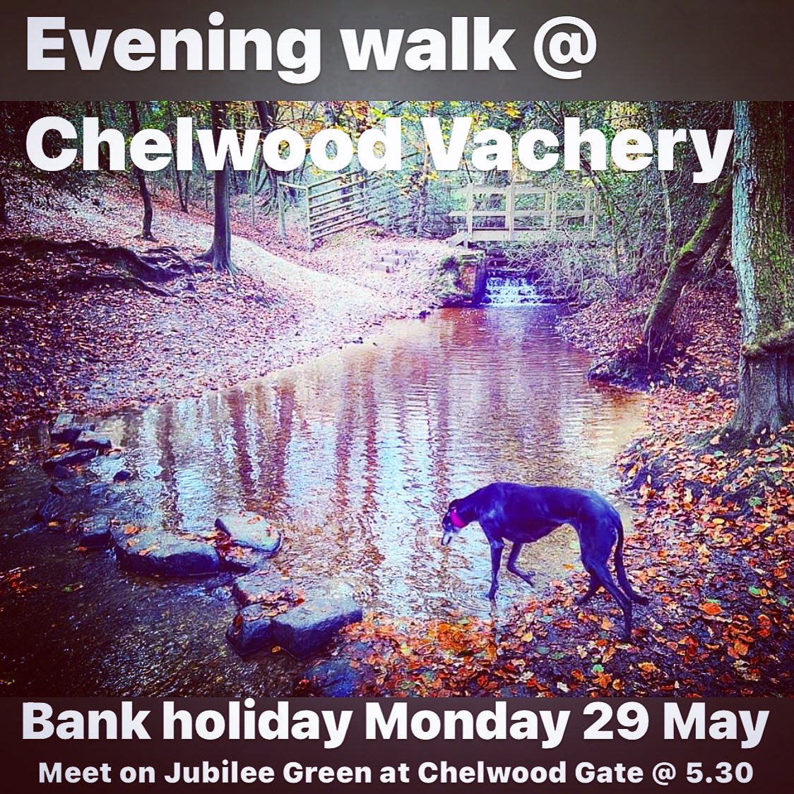 We are running a BONUS bank holiday Monday evening walk tomorrow (29 May) down at Chelwood Vachery. Ok, ok, it isn’t Surrey but it isn’t that far away either and it’s such a lovely place. 5.30 set off from Chelwood Gate. Check instagram for all the details instagram.com/p/CszWkK_osgi/…
