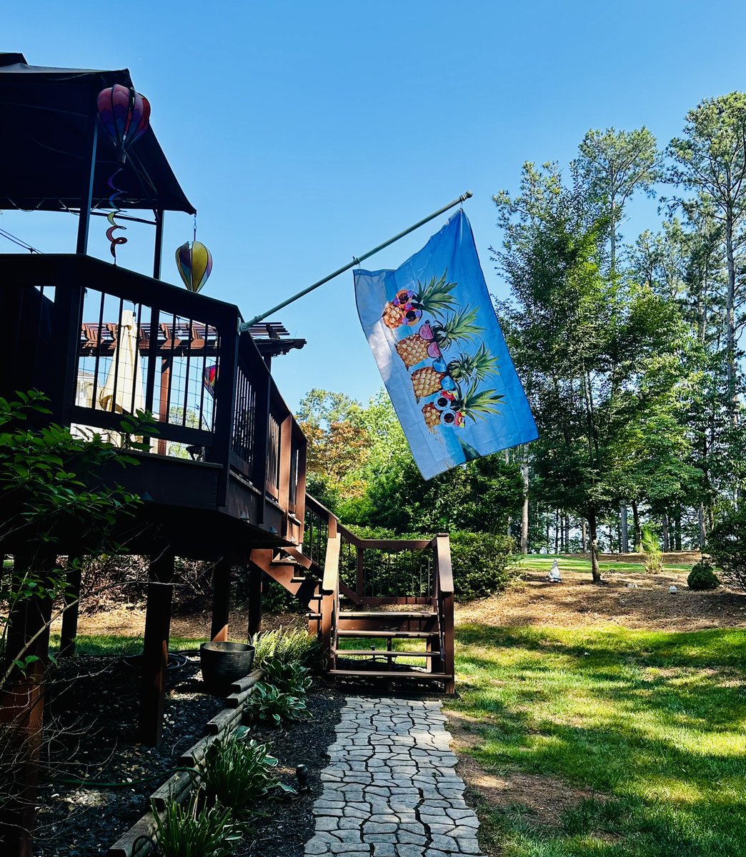 Summer is officially here! 🍍