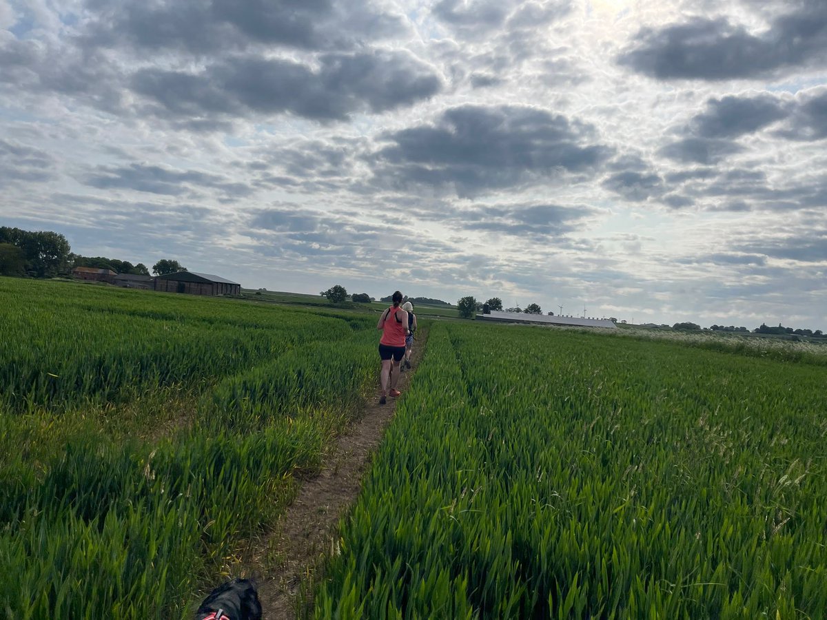 Sunday morning run through the fields with my friends and our dogs. #MentalHealthAwareness #runningformymentalhealth #marathonrunner