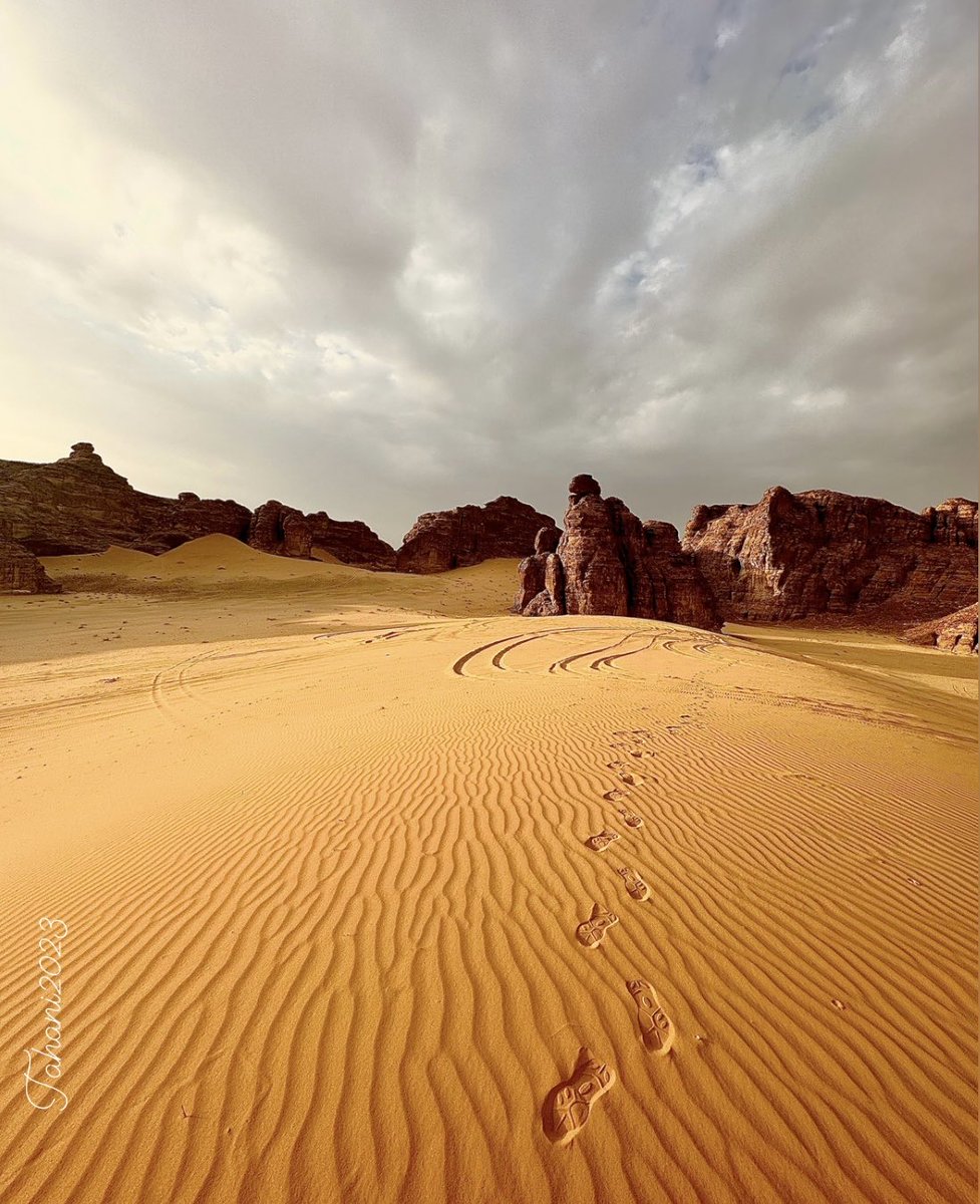 هل تستوي أمّة أبْقَتْ لها أثراً
وأمّة ما لها في الأرض آثارُ؟
#العلا #AlUla