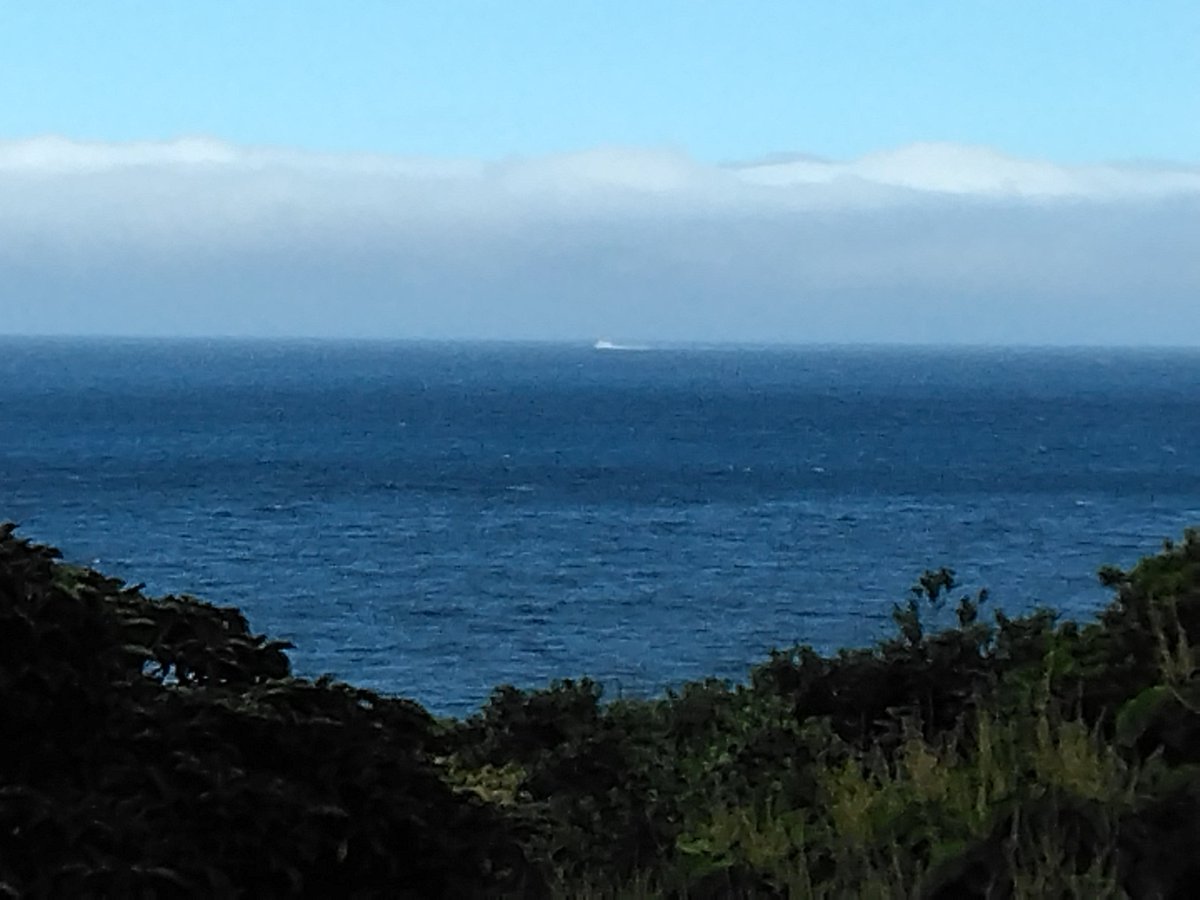 屋久島旅人ガイドの太田さんは命あるものの気秘め、お節介人道支援♪旅行者の便利屋さん!何かと相談OK! on Twitter