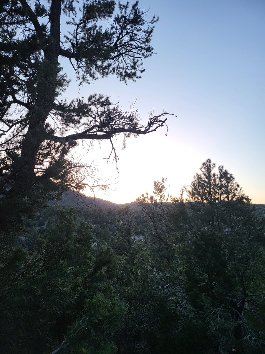 Beating the heat

#hikingadventures #springmountains