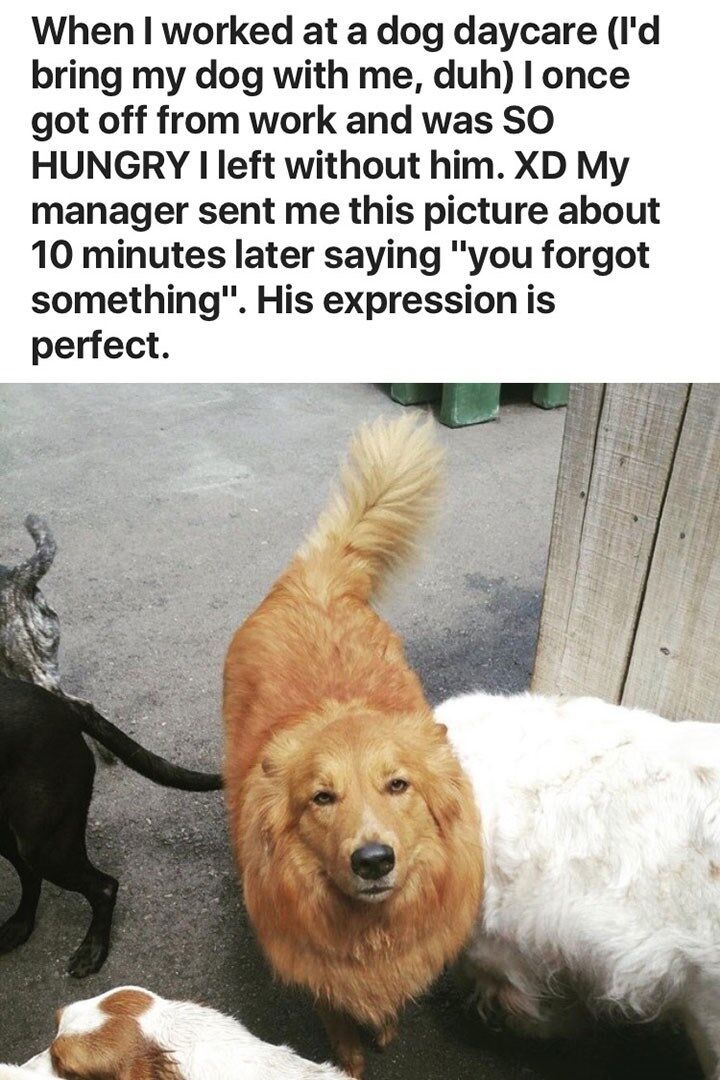 WholesomeMeme's tweet photo. https://t.co/DRyRhFM8FE