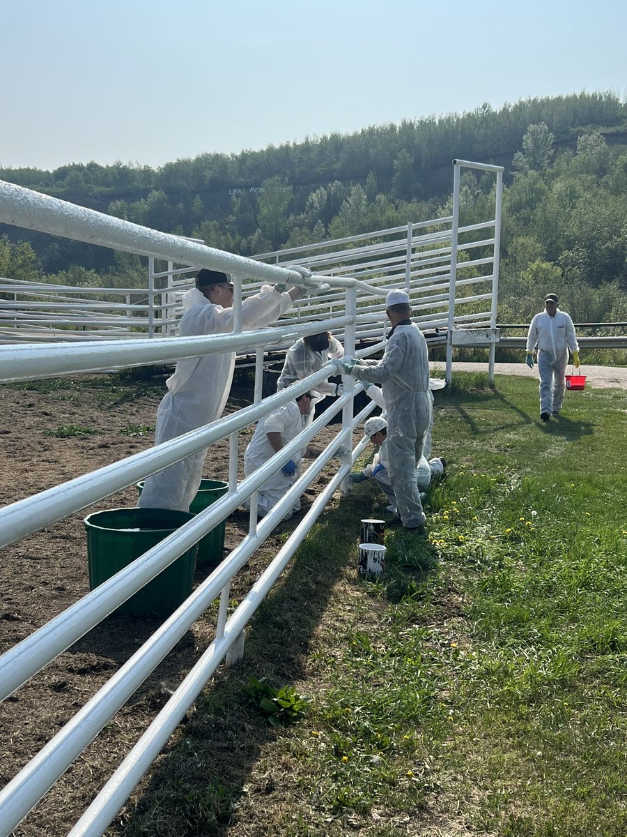 rodeo_lea's tweet photo. We had a great work bee yesterday. Gave the pens a nice paint to spruce things up! https://t.co/a7kZfrPtnc