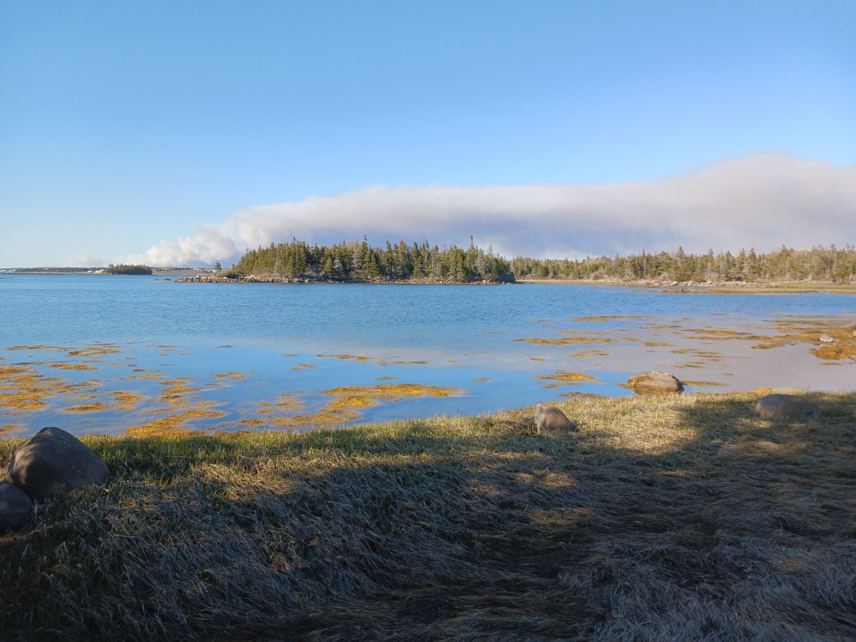 ImagesCoast's tweet photo. Historic massive the Barrington Lake fire in Shelburne County Nova Scotia Canada is still burning hot. May 27th 2023 video and commentary by Derek Jones #gooselakefire #gooselake #fire #wildfire #wildfires #geoengineering #oceantrawling #oceandredging #climatecaos #climatehell https://t.co/ea1gzJjdop