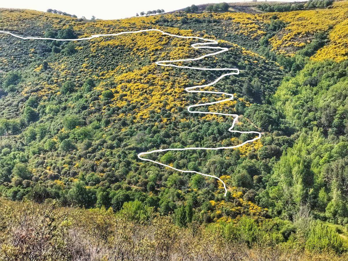 Trailfronteriza's tweet photo. Conoces el Alpe d’Huez de Aliste?😃

↪️↩️ 12 curvas de herradura 

📍 2,6 km 

🚵‍♀️  11% de desnivel 

BIKE60 y BIKE30 albergan uno de los ascensos más espectaculares del recorrido por la Sierra de la Culebra 😍

#transfronteriza #bike #btt https://t.co/0EZy0eFBfU