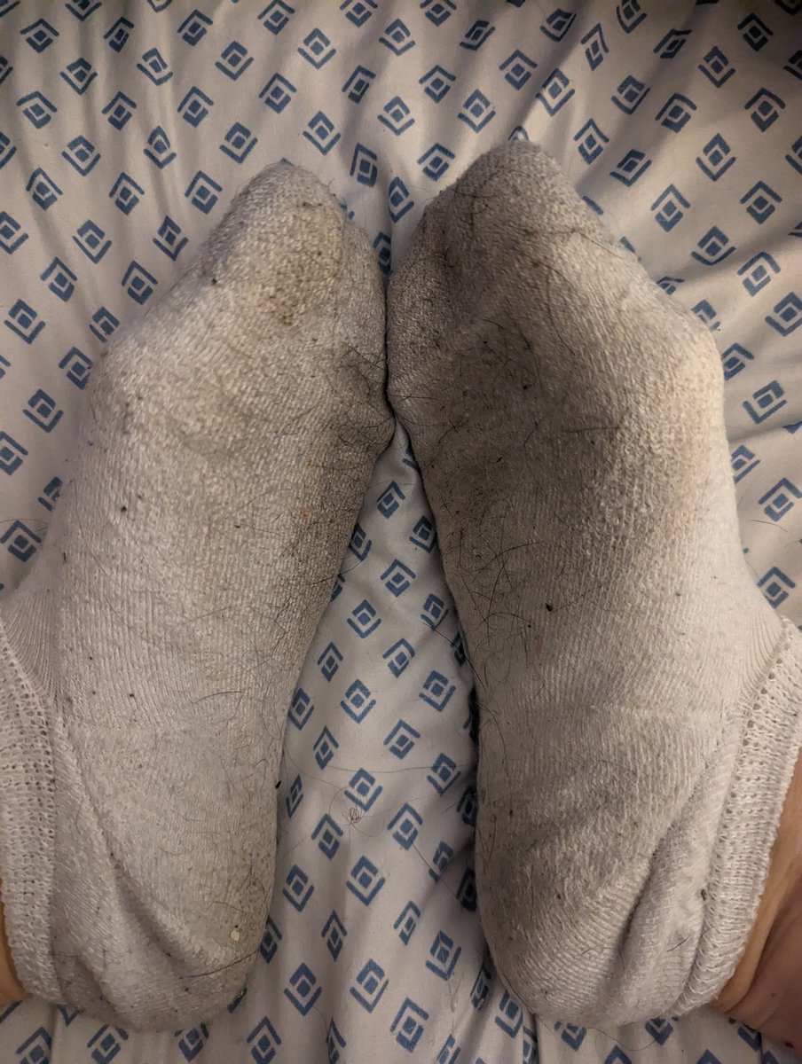 MistressWinter7's tweet photo. Start sniffing mutt.

| foot worship dirty socks footslut foot fetish | https://t.co/QogVuhDRk5