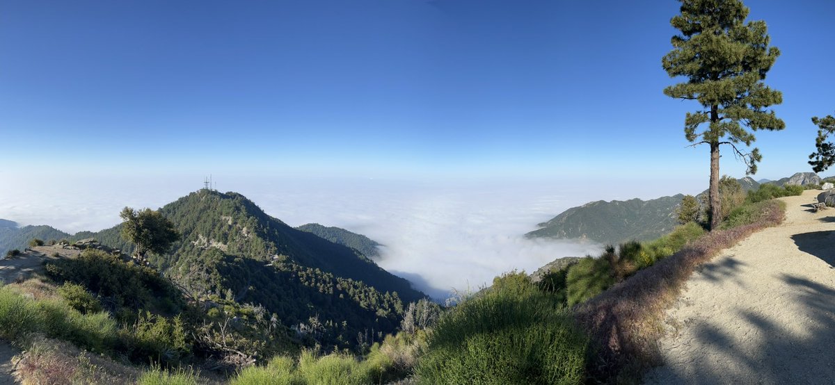 BernieC7's tweet photo. I made it to the top of Mt. Wilson this morning, Summit No. 89. Nice views at the top above the clouds. #mtwilson #mtwilsontrail https://t.co/YEeEr3u68z