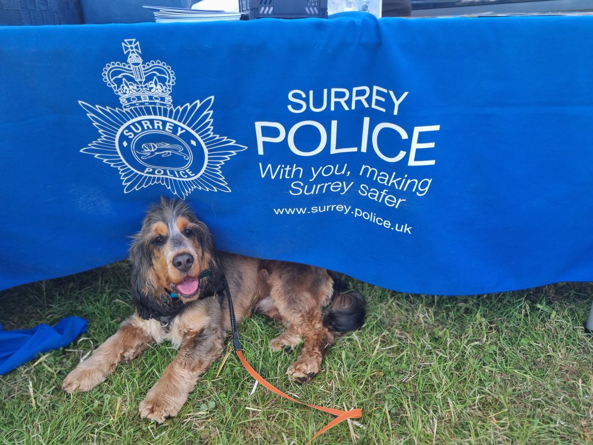 RePAWting for duty @SurreyPolice @DogfestUK #surreypolice #dogfest