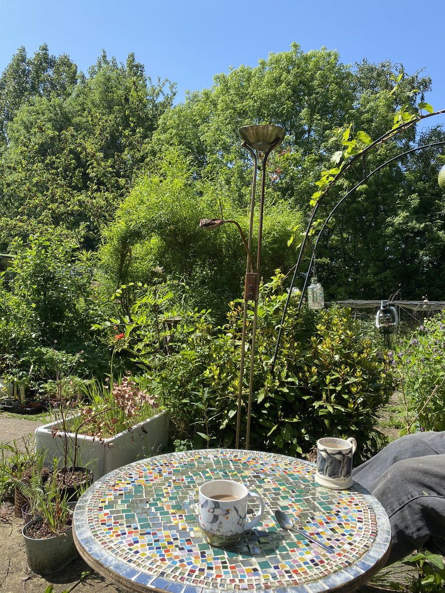 KayFKeane's tweet image. This weeks #nhs1000miles bring me to a YTD total of 937 with 40 miles of walking, cycling and a tiny bit of running.  With my allotment gardening season well underway I’ll have to find new ways to fit the miles in

#activesoles #thatcounts #EarlyRisersClub