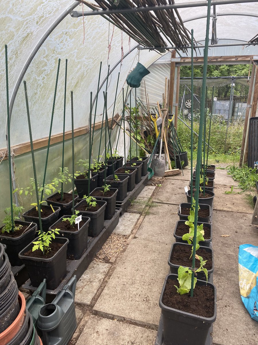 KayFKeane's tweet image. This weeks #nhs1000miles bring me to a YTD total of 937 with 40 miles of walking, cycling and a tiny bit of running.  With my allotment gardening season well underway I’ll have to find new ways to fit the miles in

#activesoles #thatcounts #EarlyRisersClub