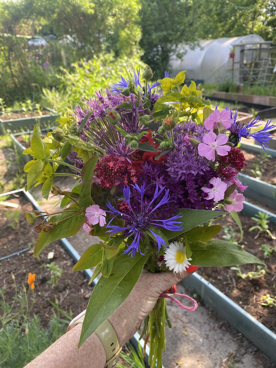 KayFKeane's tweet image. This weeks #nhs1000miles bring me to a YTD total of 937 with 40 miles of walking, cycling and a tiny bit of running.  With my allotment gardening season well underway I’ll have to find new ways to fit the miles in

#activesoles #thatcounts #EarlyRisersClub