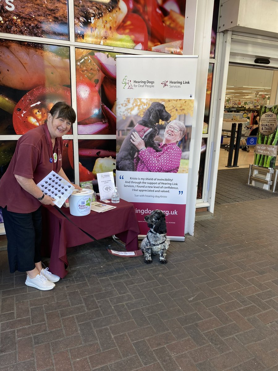 Margo Harrison tweet media