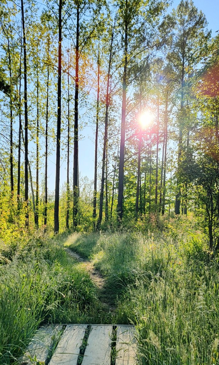 JasonKolo4's tweet photo. Buckeye Trail through Cuyahoga Valley National Park Section #hike #sectionhike #thruhike #hiking #photo #photography #photographer #hikingadventures #getoutside #BuckeyeTrail
@hikethebt https://t.co/FgVy4rln5t