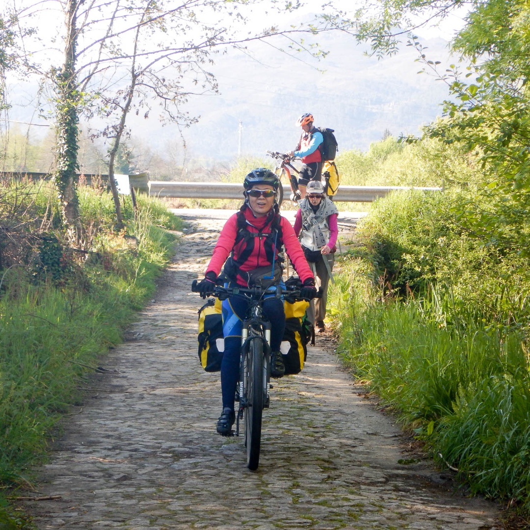 Vas al Camino de Santiago? ¡No te compliques y alquilá tu bicicleta con Bicigrino para disfrutar la experiencia! Alquilar una bicicleta con nosotros hará que tu viaje sea más cómodo, divertido y seguro #Cicloturismo #CaminoDeSantiago #Bicigrino