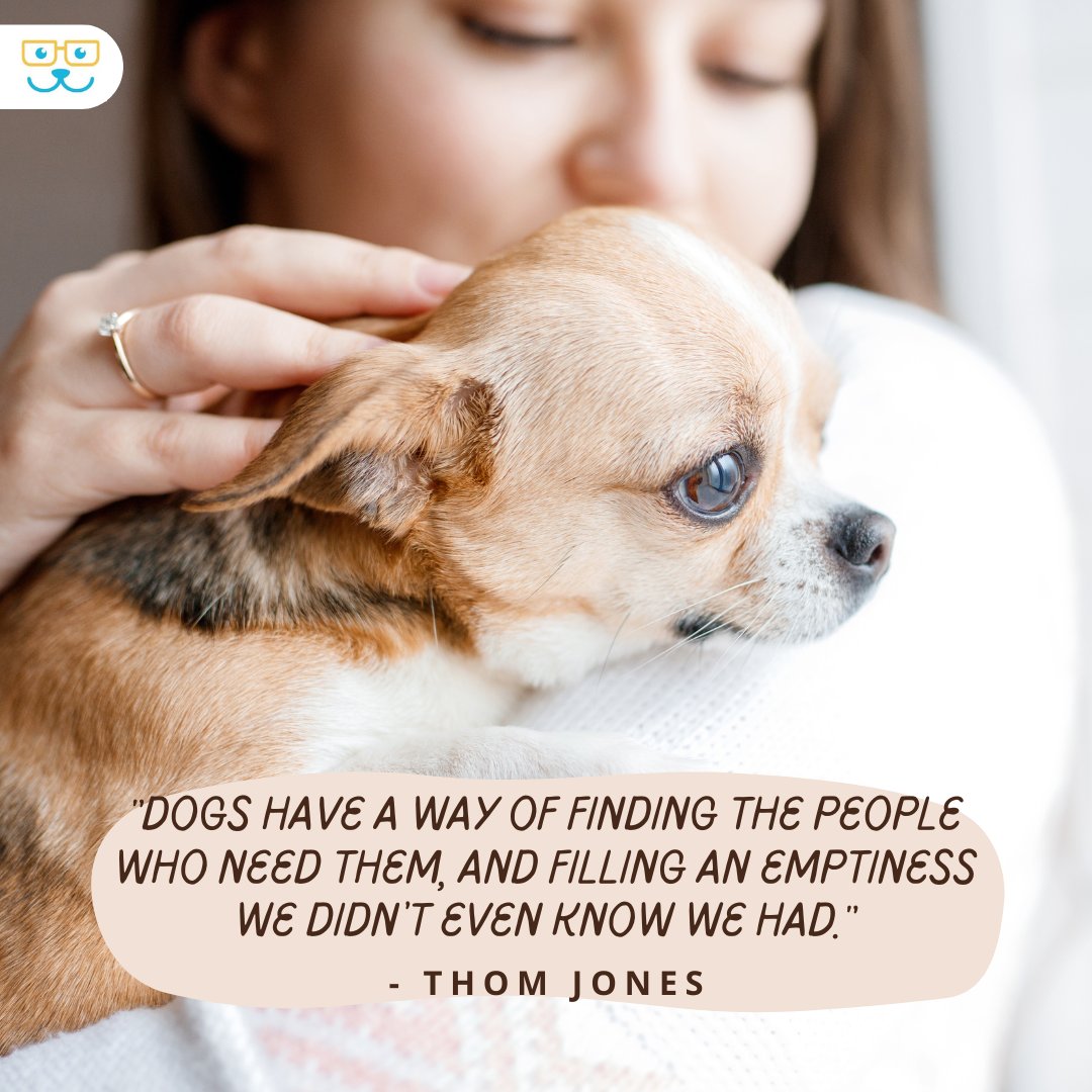 The right dog will always find us! #vieravet  #dogquotes #doglove