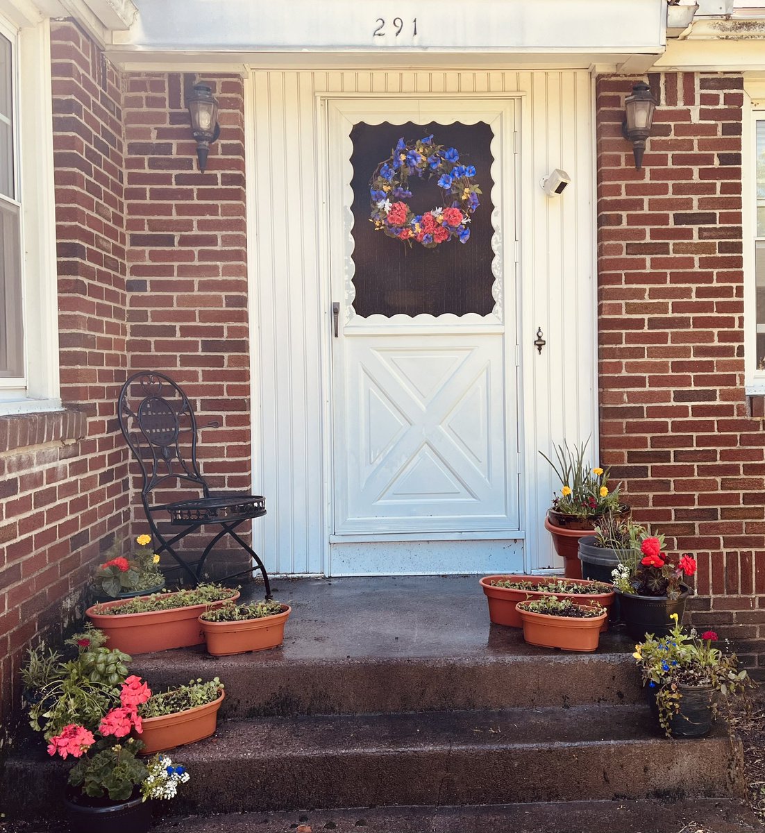 My #secretgarden. Flowers, herbs, and mystery wildflowers.