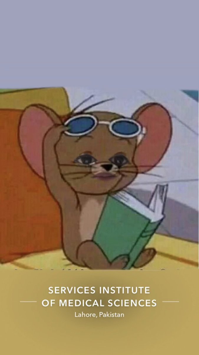 generallyzay's tweet photo. Mood https://t.co/OSCGYulMFv
