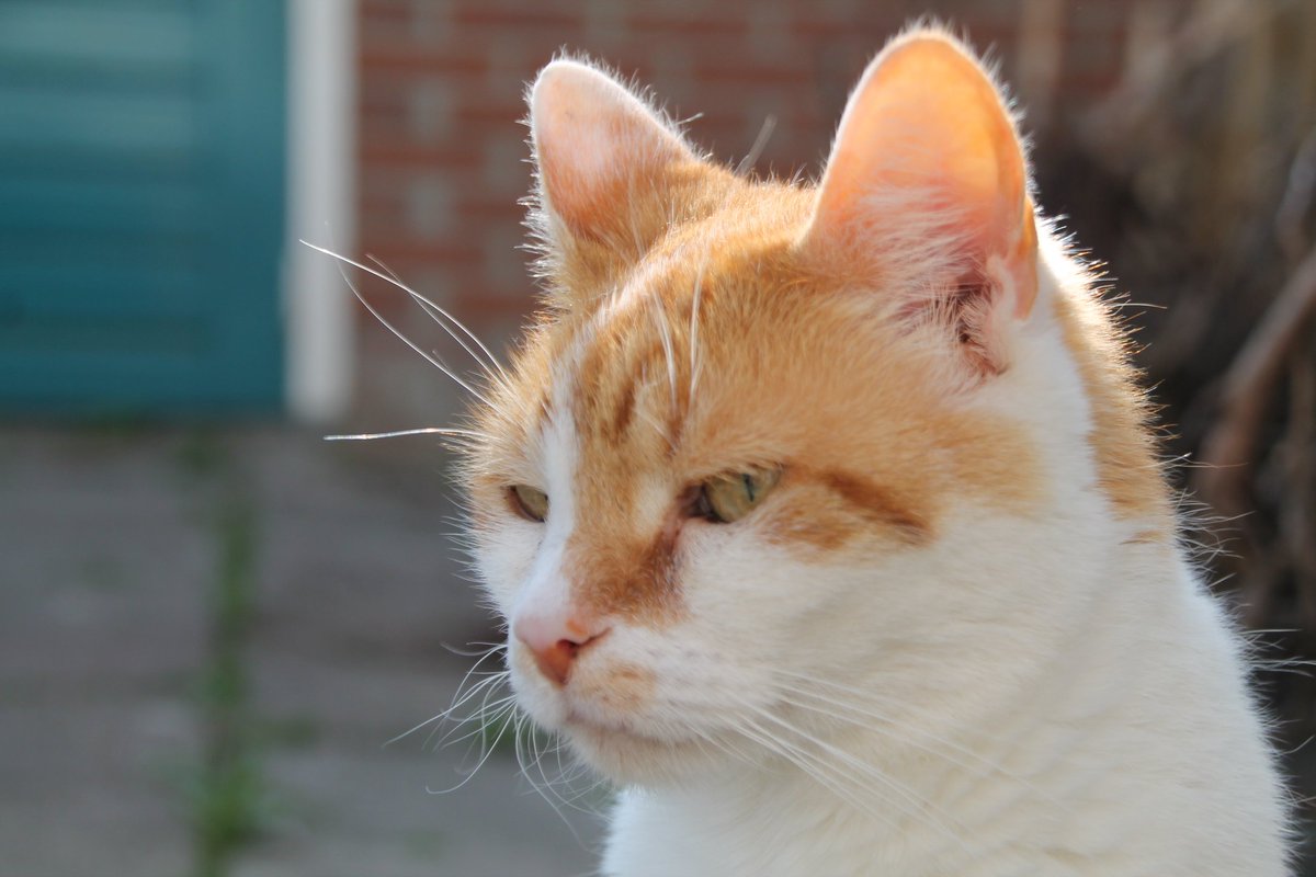 xSheilaaa's tweet photo. Mn knappe kerel! #Canon https://t.co/PTMV60VyDw