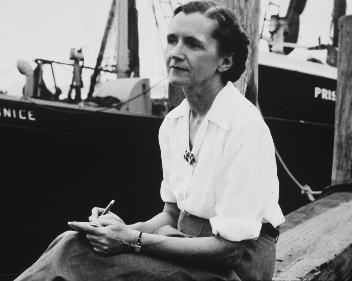 'In nature, nothing exists alone.' #RachelCarson, biologist, writer & environmental trailblazer was born May 27, 1907. 'Silent Spring' (1962), her iconic book on the harmful effects of #pesticide use on #nature & humanity, laid the foundations for the global environmental…