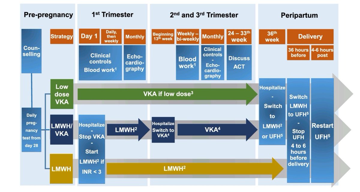 IJC Congenital Heart Disease (@ijcchd) on Twitter photo Recommendation of anticoagulation treatment for pregnant women with mechanical heart valve prosthesis.
Read more: doi.org/10.1016/j.ijcc…
<a href="/MAGatzoulis/">Michael A. Gatzoulis</a> <a href="/mmamas1973/">Mamas A. Mamas</a> <a href="/NunziaBorrell12/">Nunzia Borrelli</a> @ELS_Cardiology <a href="/Cardiotweet/">Cardiotweet</a> <a href="/saramoscatelli7/">Sara Moscatelli</a> <a href="/JGrapsa/">Julia Grapsa MD, PhD</a> <a href="/JSabatino86/">Jole Sabatino</a> <a href="/sasha_opo/">Alexander (Sasha) Opotowsky</a> <a href="/ralogon/">Rafa Alonso</a> Recommendation of anticoagulation treatment for pregnant women with mechanical heart valve prosthesis.
Read more: doi.org/10.1016/j.ijcc…
<a href="/MAGatzoulis/">Michael A. Gatzoulis</a> <a href="/mmamas1973/">Mamas A. Mamas</a> <a href="/NunziaBorrell12/">Nunzia Borrelli</a> @ELS_Cardiology <a href="/Cardiotweet/">Cardiotweet</a> <a href="/saramoscatelli7/">Sara Moscatelli</a> <a href="/JGrapsa/">Julia Grapsa MD, PhD</a> <a href="/JSabatino86/">Jole Sabatino</a> <a href="/sasha_opo/">Alexander (Sasha) Opotowsky</a> <a href="/ralogon/">Rafa Alonso</a>