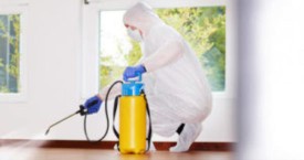 رش مبيدات الحشرات نمل صرصير حدائق بالدمام والخبر الشرقية خدمه على مدار الساعة