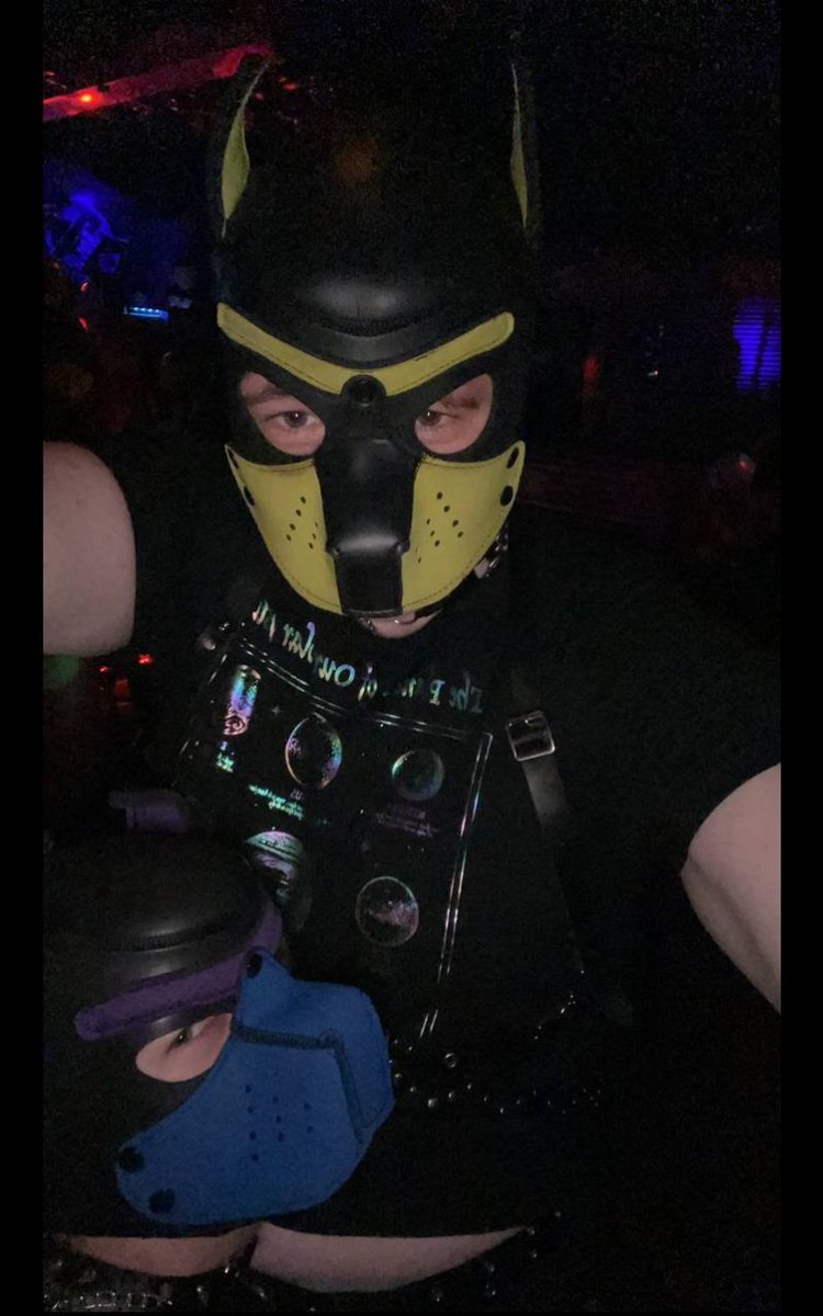 Pup_Braver's tweet photo. Met this amazing pup at anvil last night! If was so much fun even if we got a little too rowdy.  😆 https://t.co/3yRZZuAJkU