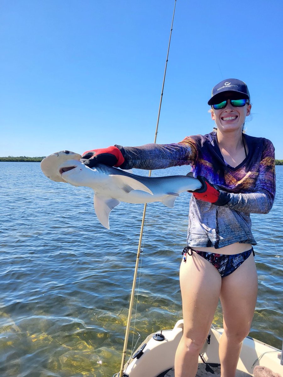 FishBullyFishin's tweet photo. One of today's catch! https://t.co/A5UKnpIVPi