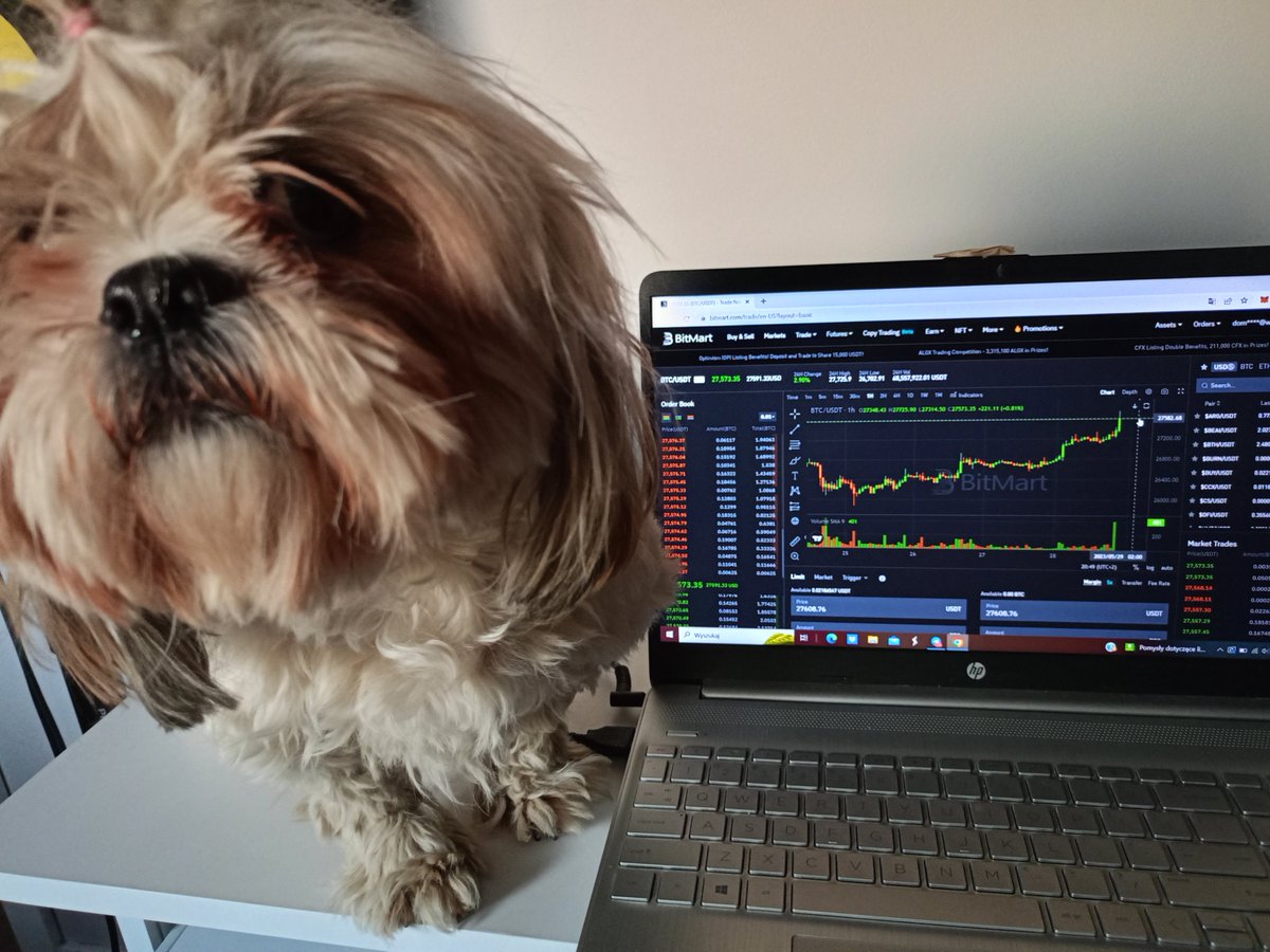 KryptoKorba's tweet photo. @BitMartExchange my dog ​​knows that BTC will go up.   #BitMart  #HowIBitMart  @CryptoD98286978 @Sqbisz @Drooluk https://t.co/mZoYnPVUlk