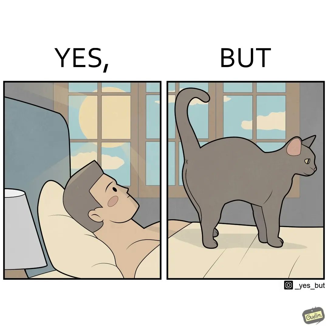 _yesbut_'s tweet photo. https://t.co/OEivMwJJQh