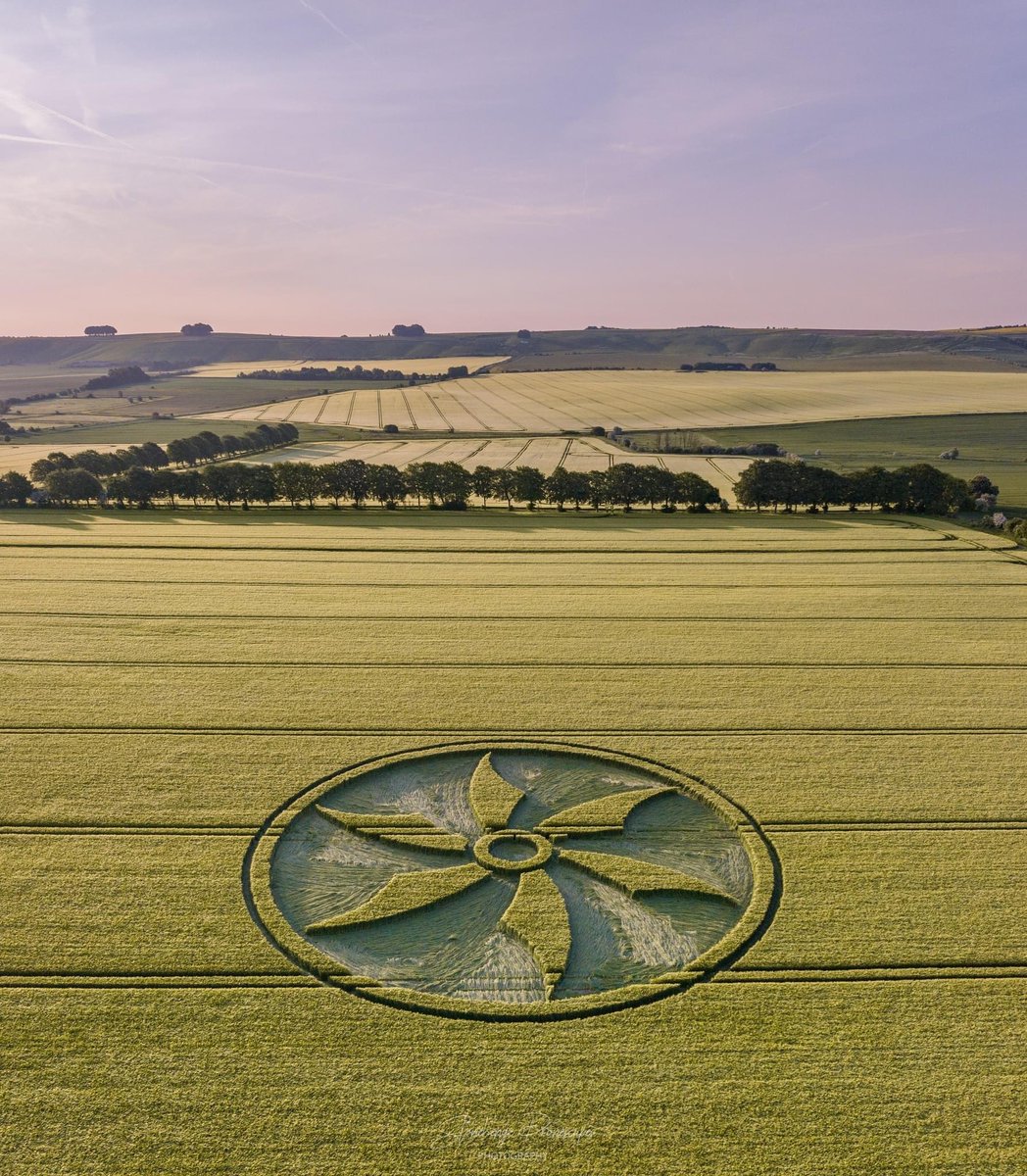 First crop circle of 2023 reported 28/5/23 in Broad Hinton, Wiltshire.
youtu.be/RLVc-PNsosI
