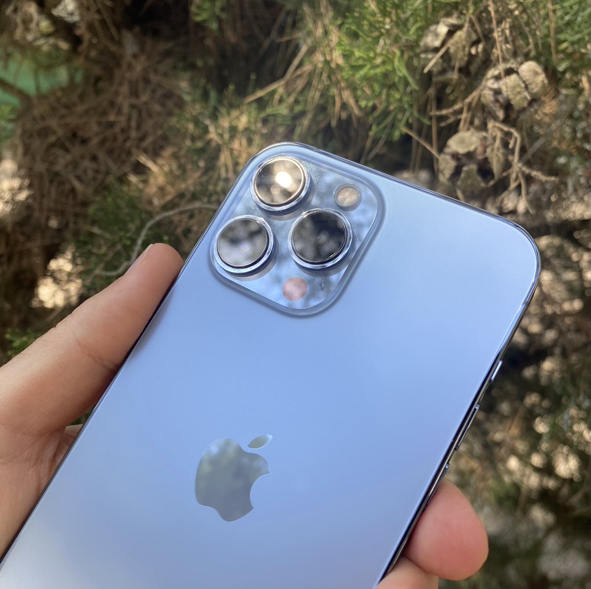 ifrnb's tweet photo. Los iPhone sin funda >>>>>> https://t.co/wl5mfsUKsV