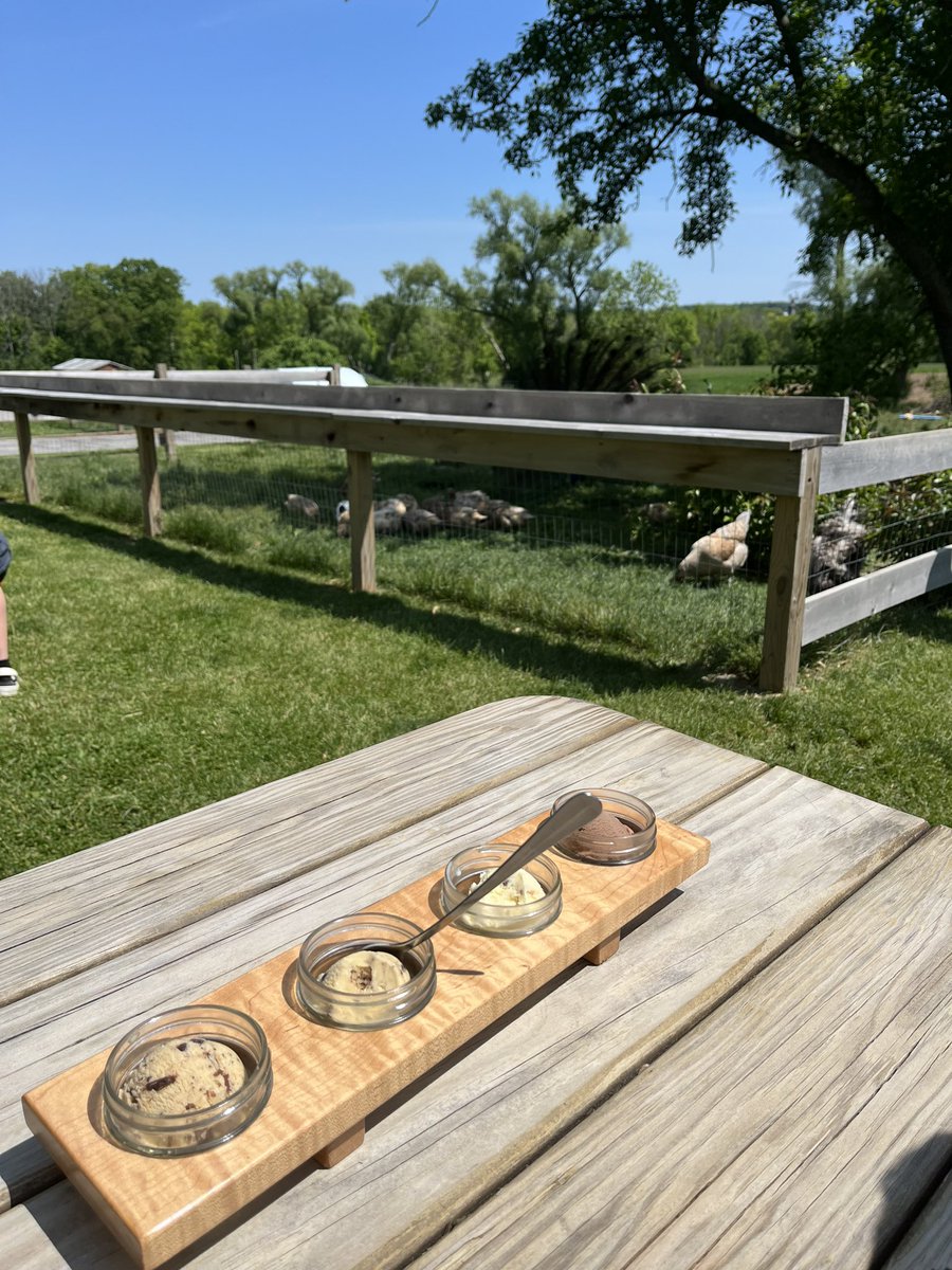 A flight of frozen custard while hanging out with the ducks whose eggs are used in the custard 😍