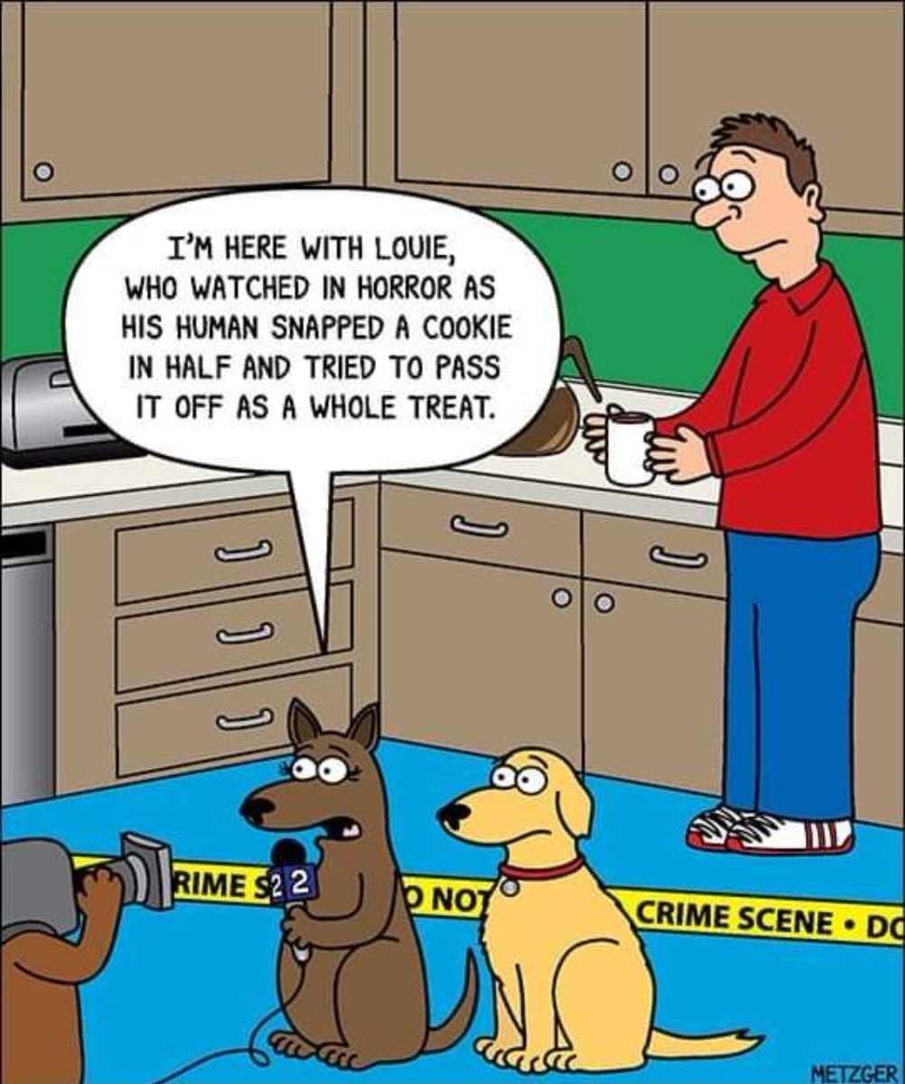 Happy Sunday!! 🤣🤣💜💜 makes me miss my pups 🐶 
#SundayFunday #SundayFunnies #Funny #dogs 
Credit on pic