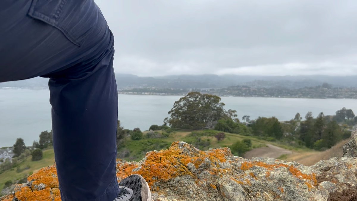 Danathon James tweet media