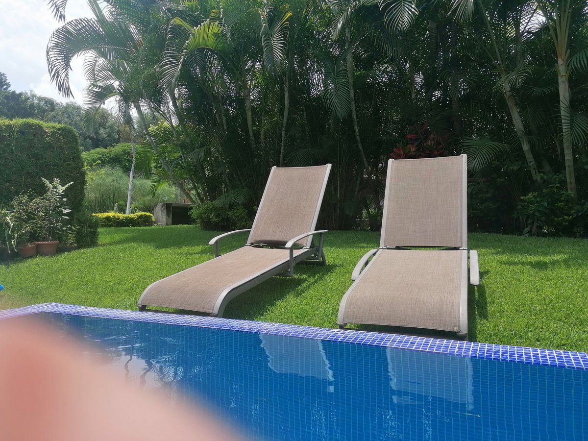 Claudia de Icaza tweet media