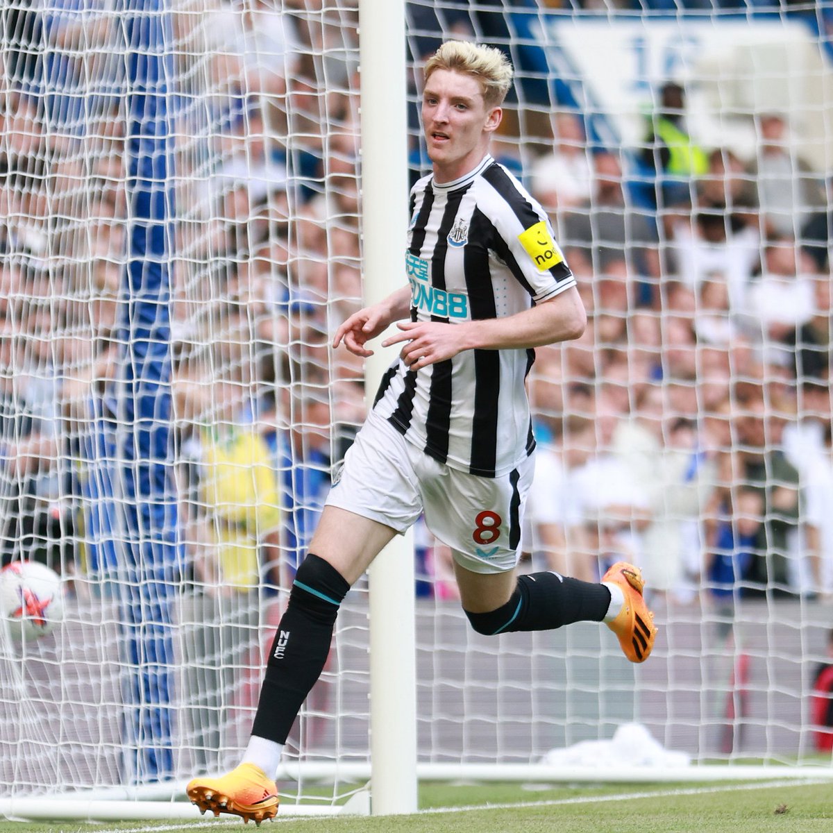 fscollector1985's tweet photo. What a superb season for @NUFC, the best since the Sir Bobby Robson days about 20 years ago, &amp; by a mile! Thank you to the players &amp; Eddie Howe for making me one very happy lad! Changed my life, twice! I even watch Match of the Day again! But why the white shorts! Why?! 😱 #NUFC https://t.co/VqOeko3rWq