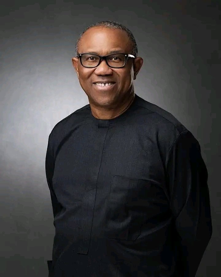 The Judiciary is on Trial. Don’t Think that It’s Impossible to Get Justice After Inauguration, I Went Through It Before and Was in Court for 3 Years while Someone Else was in Office and I Got Justice. — HE Peter Obi on parallelFact Space