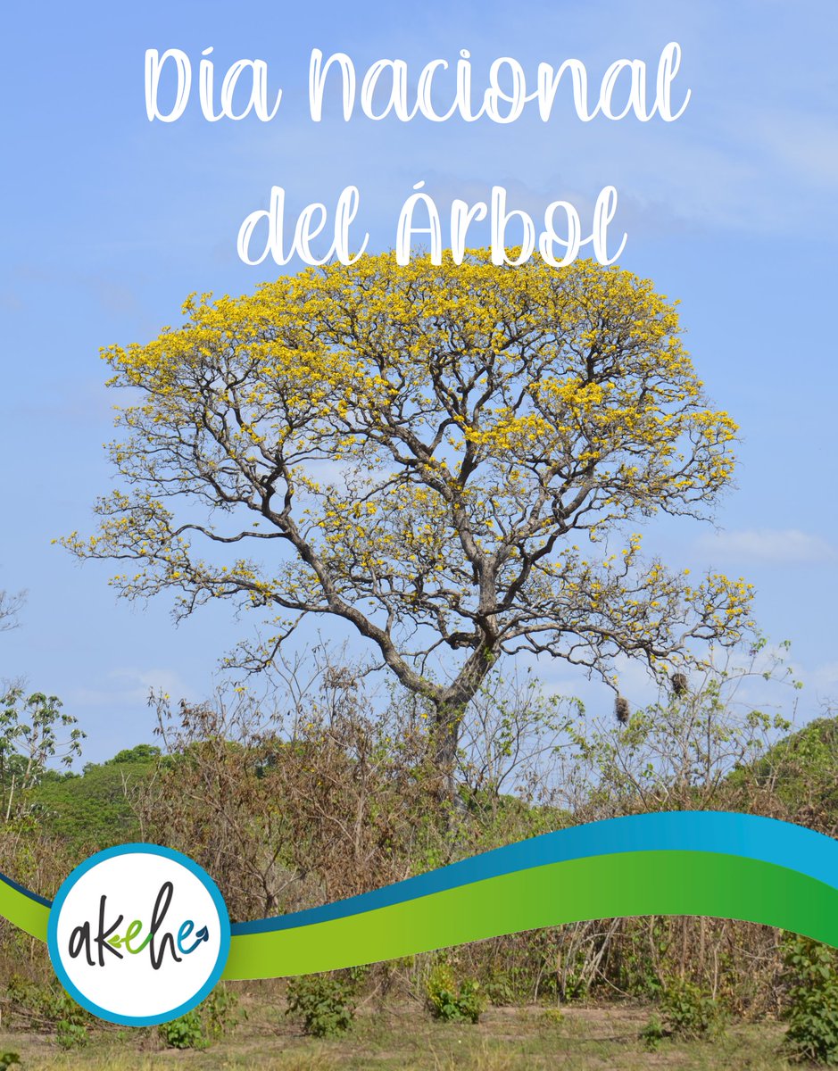 Hoy, es el Día Nacional del Árbol en Venezuela🌳, y se celebra con la finalidad de resaltar el valor de estos importantes organismos que brindan tantos beneficios a todos los seres vivos. 

¡Cuidemos nuestros árboles!

#DíaNacionaldelÁrbol