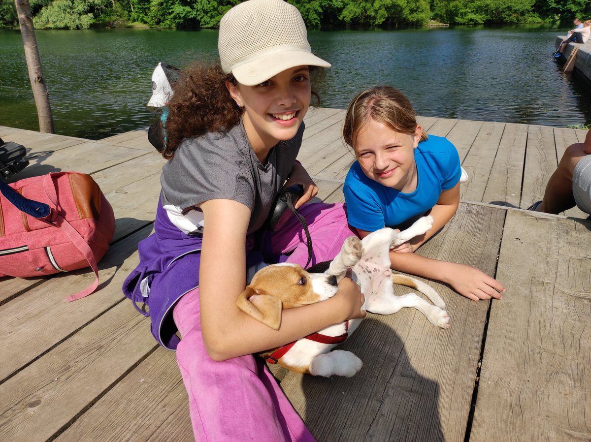 OSsencur's tweet image. Danes smo spoznavali znamenitosti našega glavnega mesta, nato pa se sprehodili okoli jezera Črnava. Čudovit dan smo zaključili s piknikom za učence in starše v Adergasu. #Cmepius #Erasmus #ljubljana #Adergas