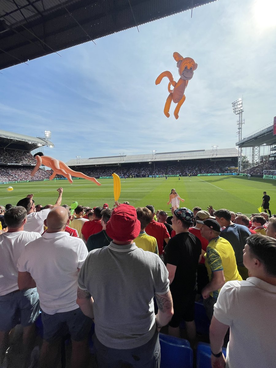 danchol's tweet image. 🌞 #NFFC