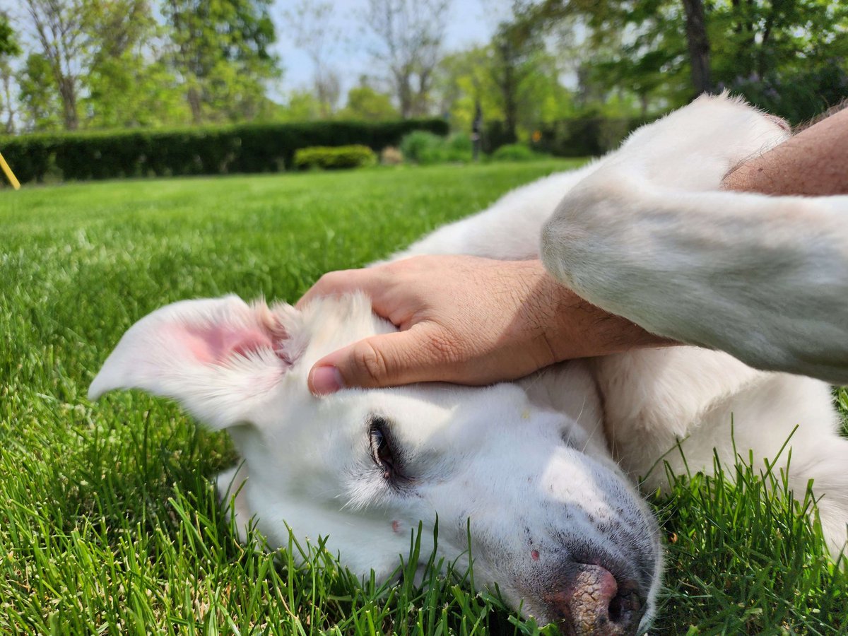 LotusAlliance8's tweet image. It's always a #BeautifulWeekend when you get to spend it with someone you love. Such a gorgeous young lady courtesy of @WillyLo  #LotusAlliance