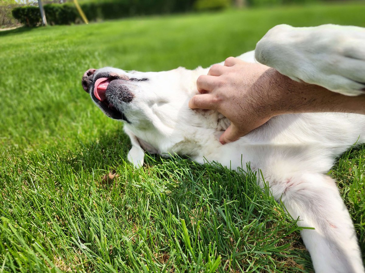 LotusAlliance8's tweet image. It's always a #BeautifulWeekend when you get to spend it with someone you love. Such a gorgeous young lady courtesy of @WillyLo  #LotusAlliance